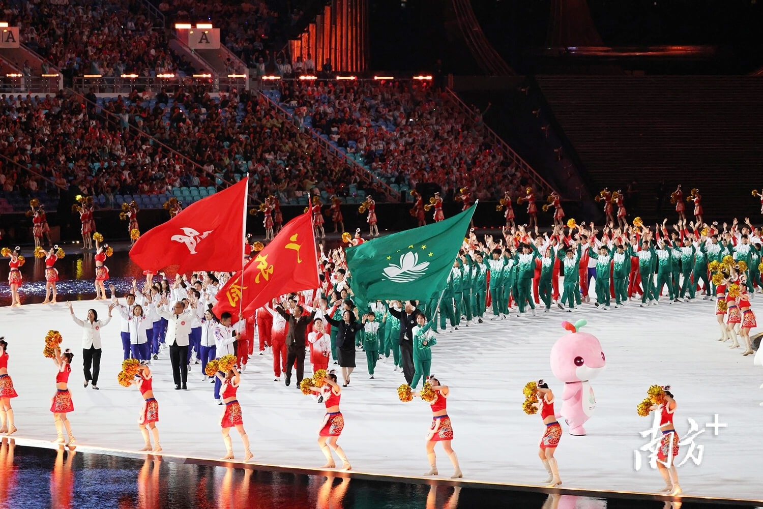 什么是“决策洁癖”？（“决策洁癖”到底指什么？）